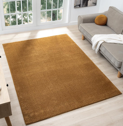 Comfy Fluffy Rug
