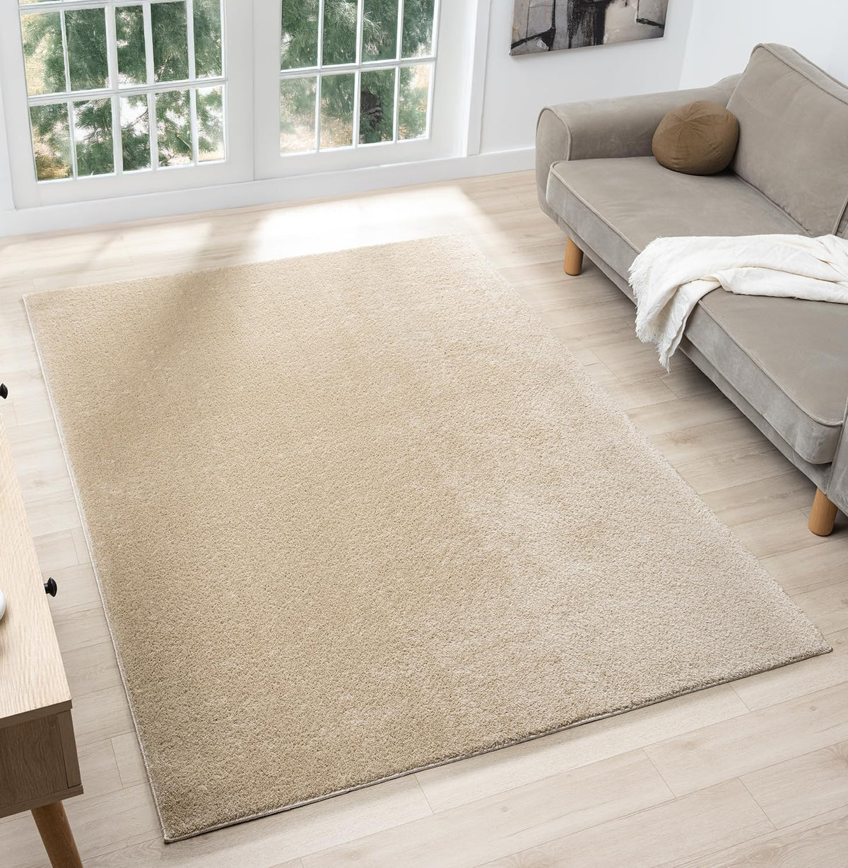 Comfy Fluffy Rug