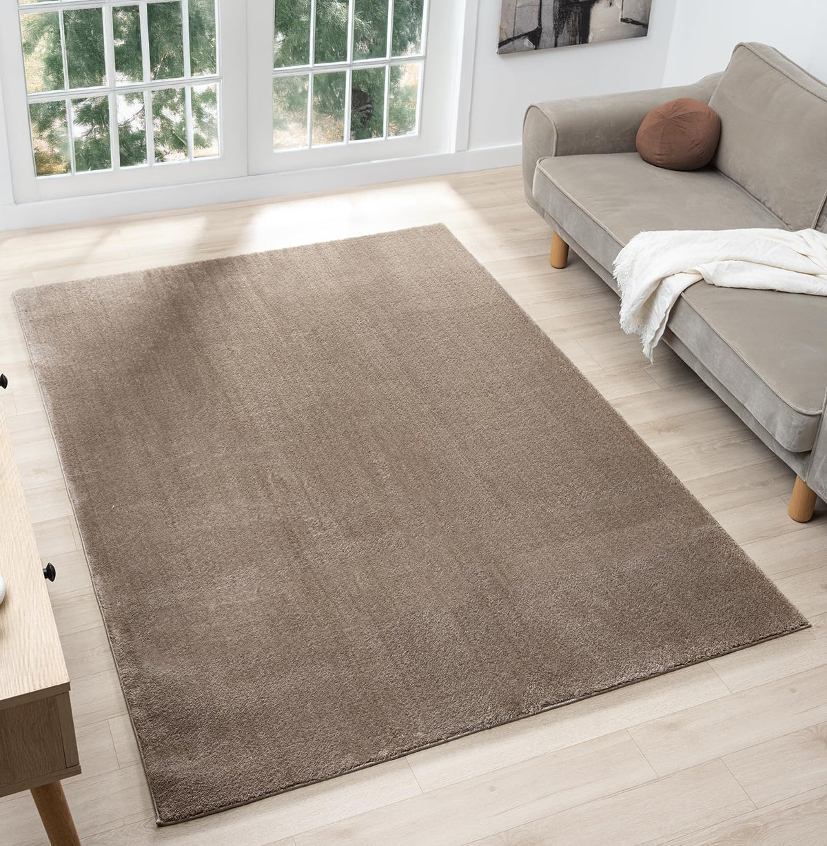 Comfy Fluffy Rug