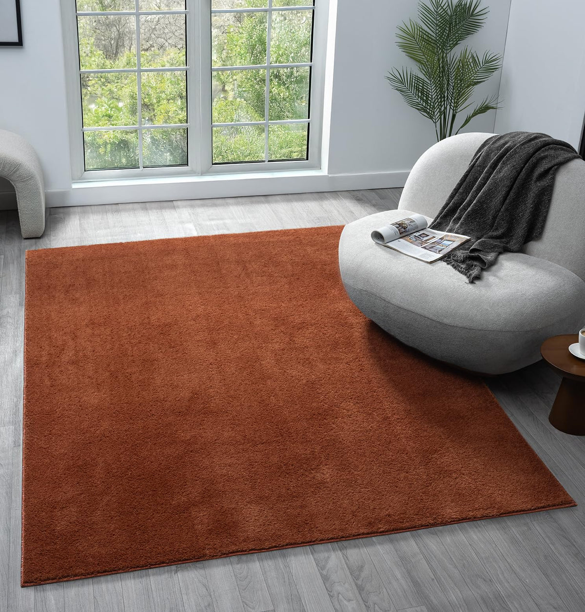 Comfy Fluffy Rug