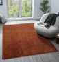 Comfy Fluffy Rug