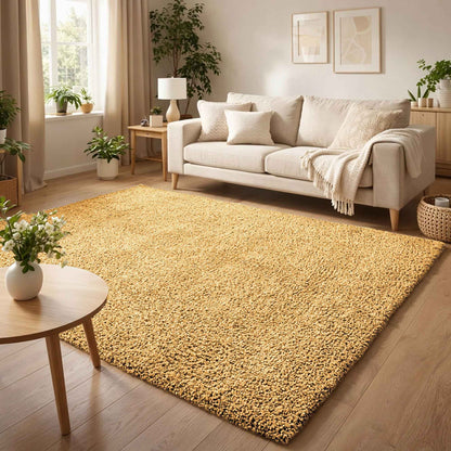 Ainsley Shaggy Rug