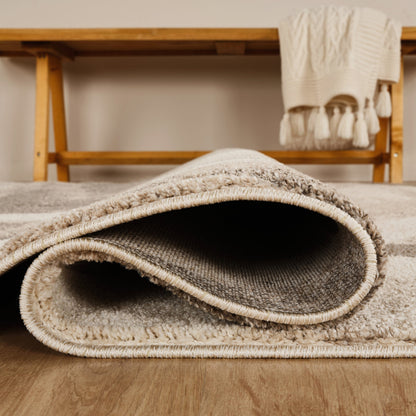 Santiago Carved Abstract Rug - Curve