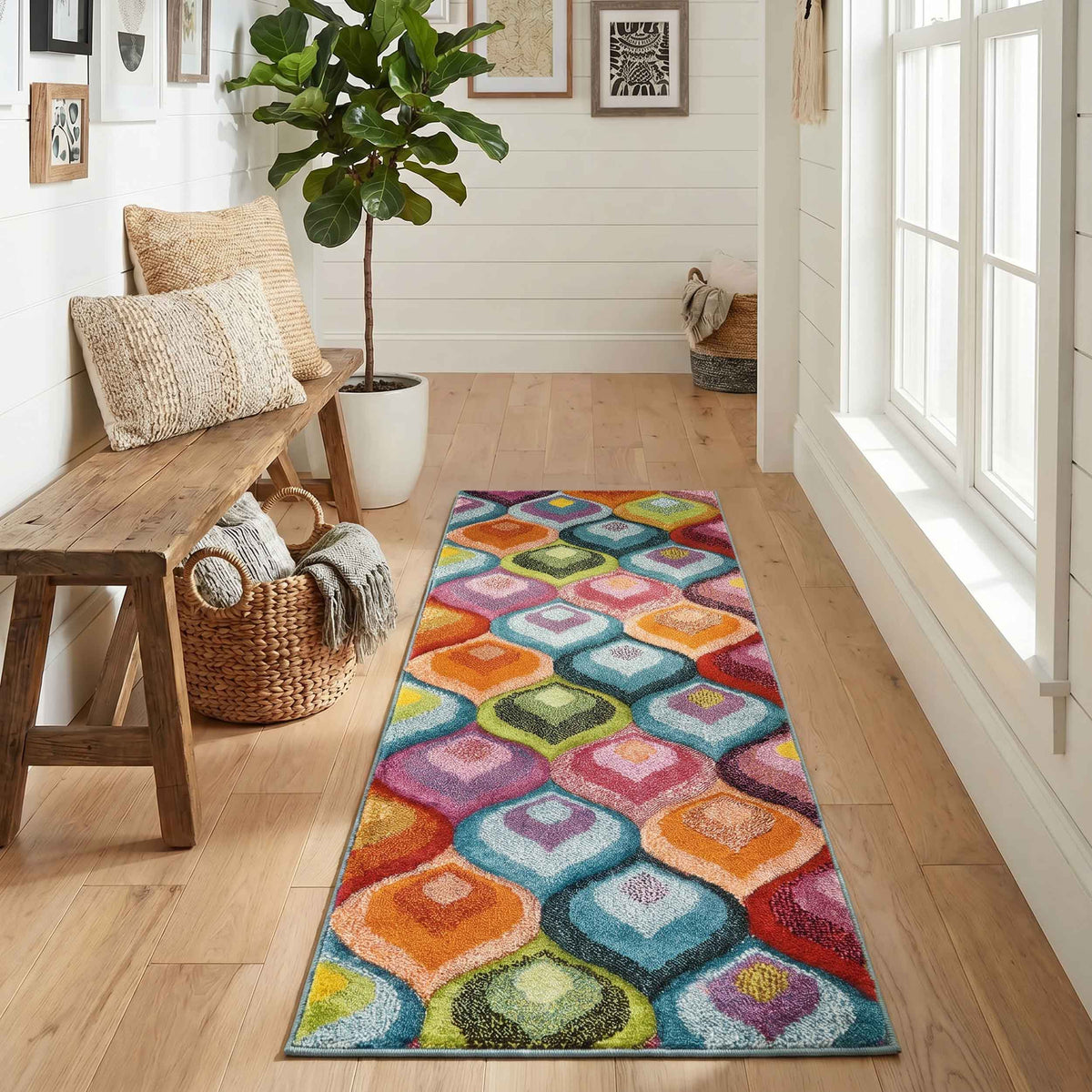 Rainbow Carved Rug - Ogee