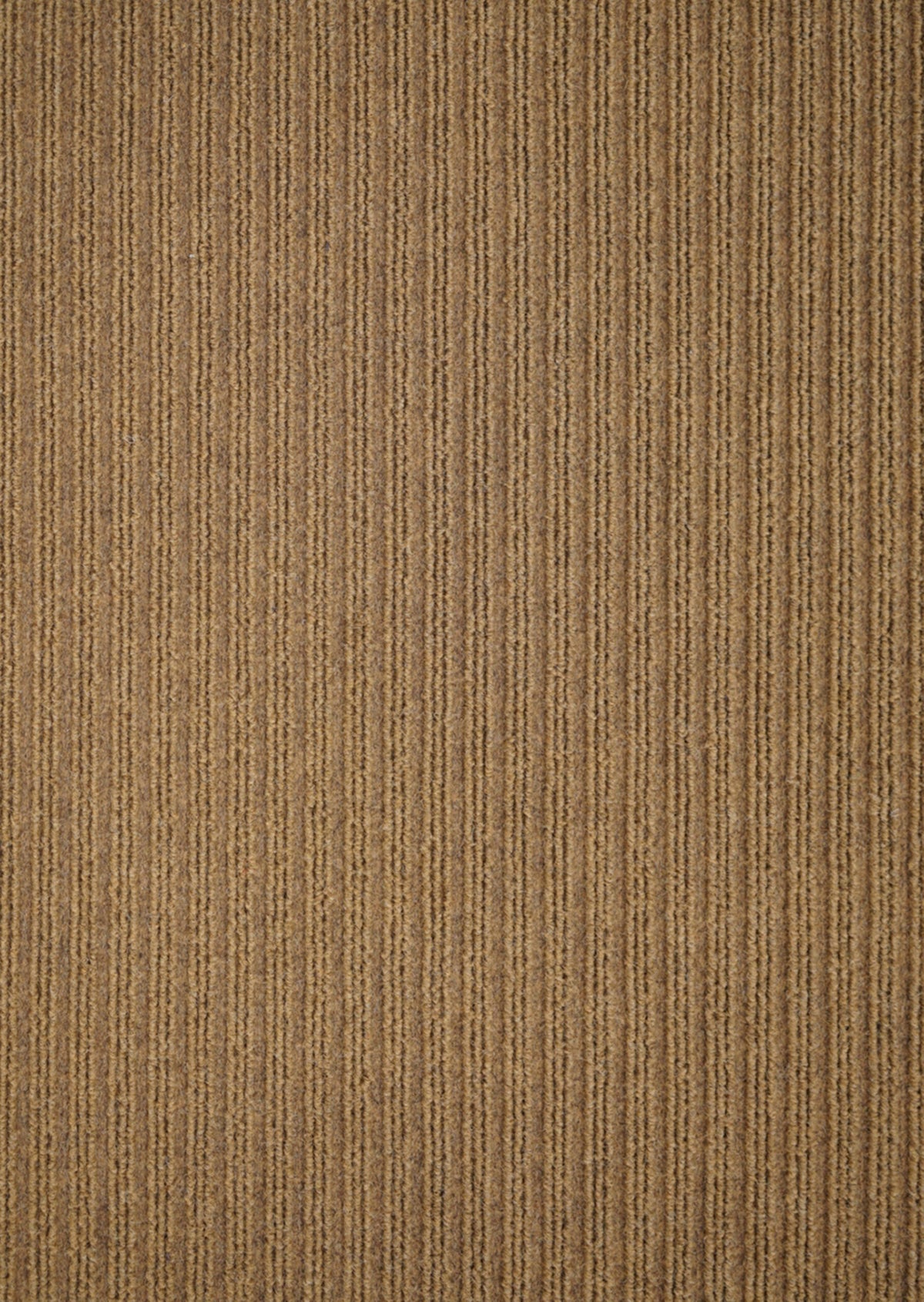 Trapper Classic Heavy-Duty Barrier Mat - Lines