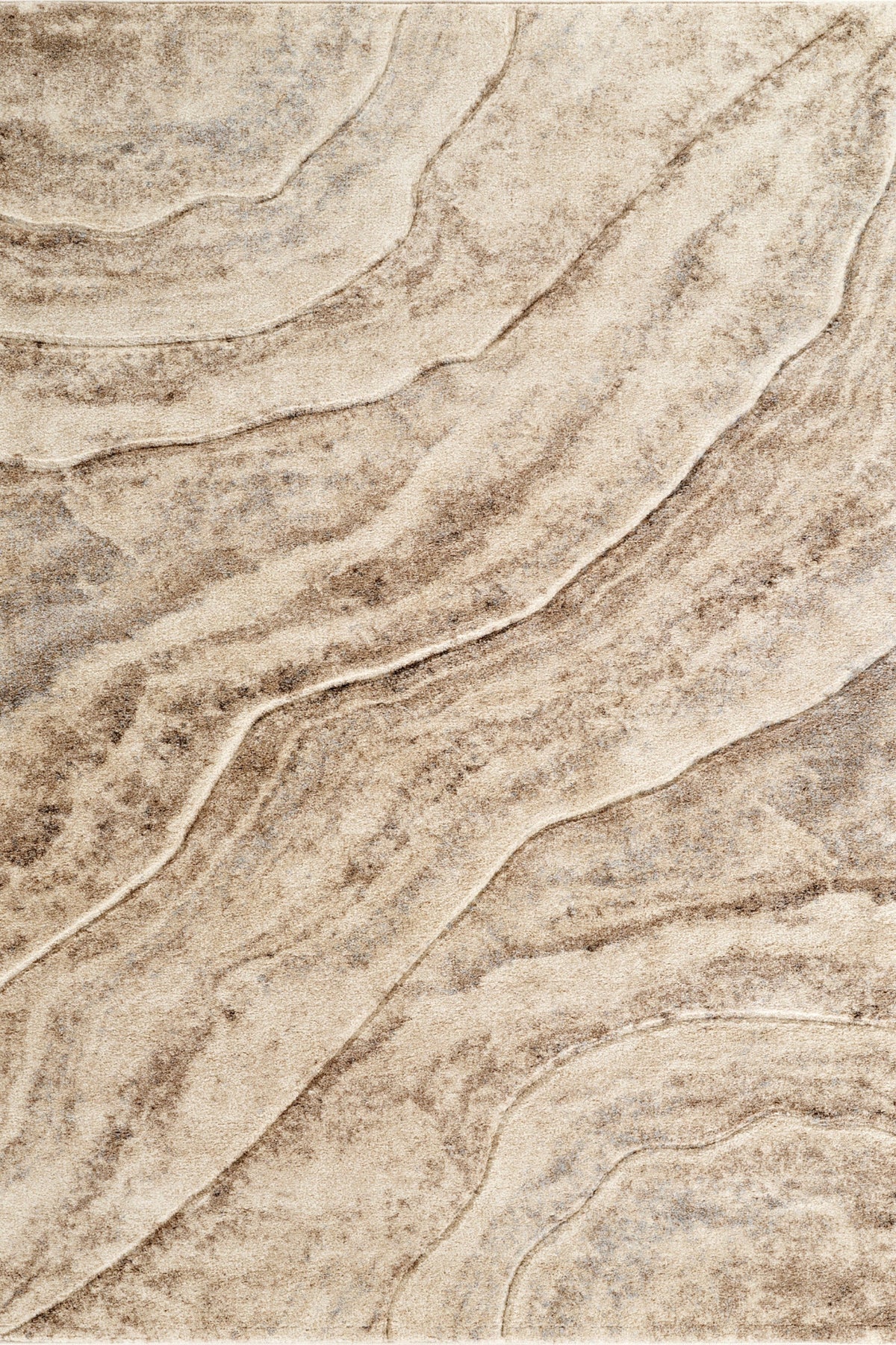 Santiago Carved Abstract Rug - Quarry